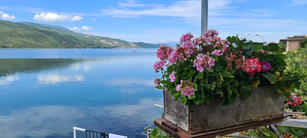 Lini Rosa B&B المظهر الخارجي الصورة