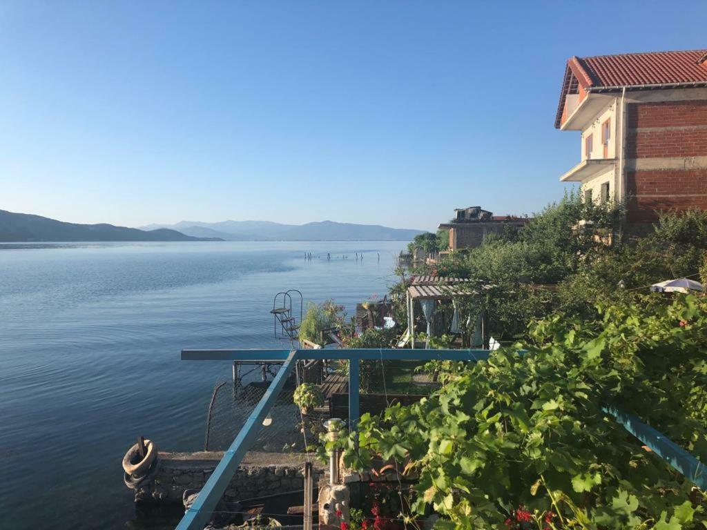 Lini Rosa B&B المظهر الخارجي الصورة